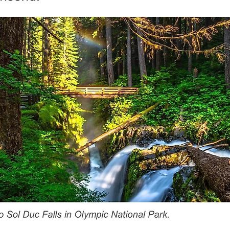 A Relaxing Getaway-A Backwoods Cabin Solduc River Beaver Exterior foto